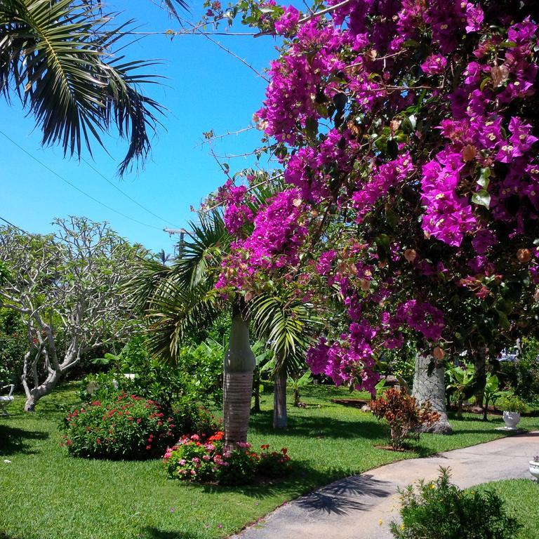 Royal Palms Hotel Hamilton City Dış mekan fotoğraf